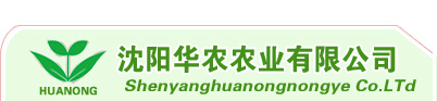 赫爾普